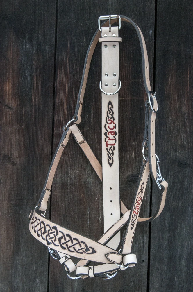 Zakázková uzdečka s keltským motivem