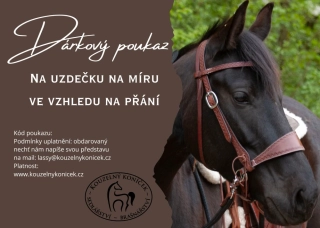 Dárkový poukaz na uzdečku na přání