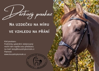 Dárkový poukaz na uzdečku na přání