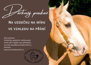 Dárkový poukaz na uzdečku na přání
